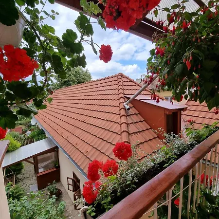Historical House In The Center With Parking Apartment Levoca