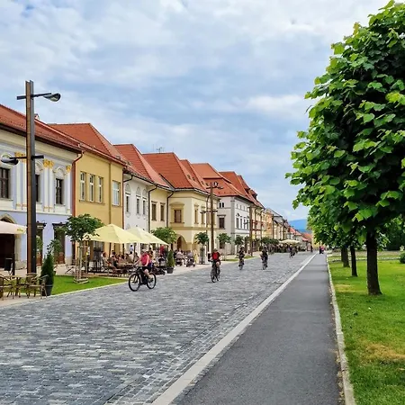 Lejlighed Historical House In The Center With Parking