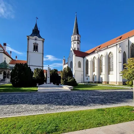 Historical House In The Center With Parking Apartmán