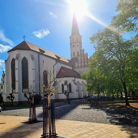 Lejlighed Historical House In The Center With Parking