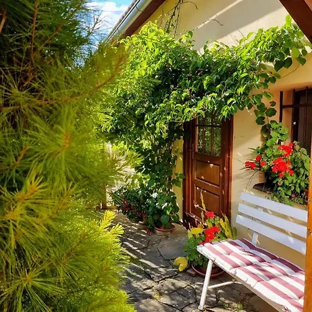 Apartmán Historical House In The Center With Parking