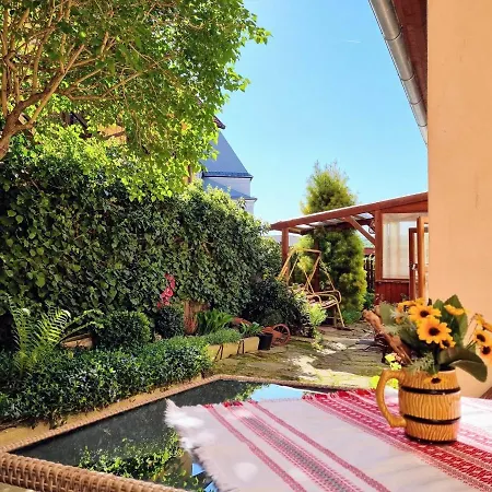 Historical House In The Center With Parking Apartment Levoca