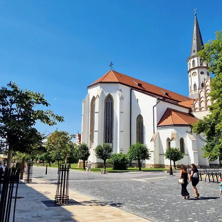 Apartment Historical House In The Center With Parking *