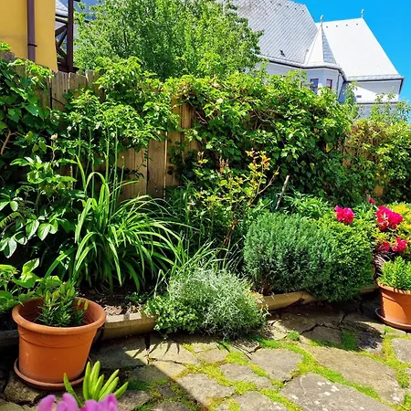 Apartment Historical House In The Center With Parking *