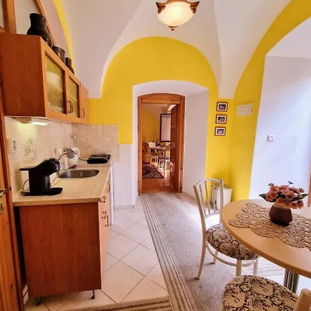 Historical House In The Center With Parking *