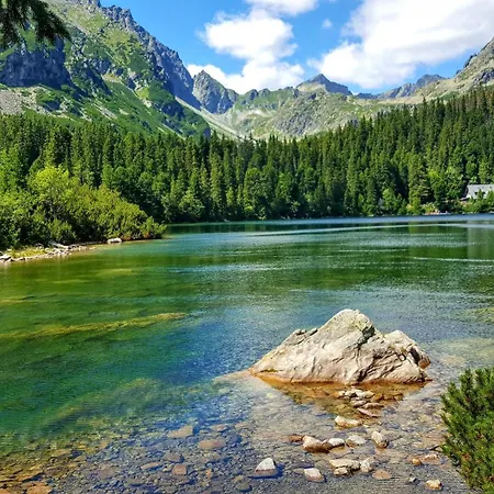 Historical House In The Center With Parking Apartmán Levoča
