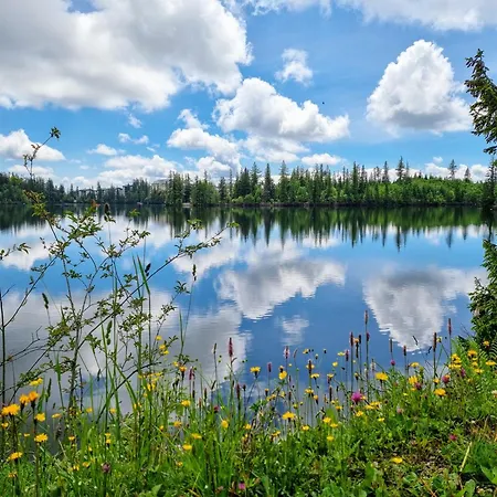 Lejlighed Historical House In The Center With Parking Levoča