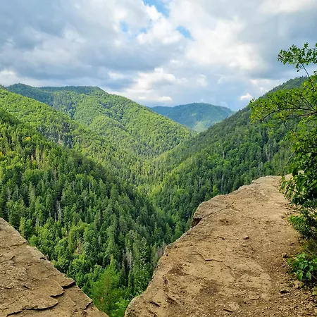 Historical House In The Center With Parking * Levoča