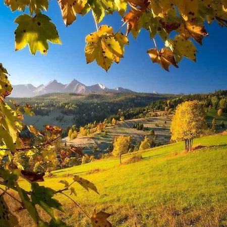 Historical House In The Center With Parking