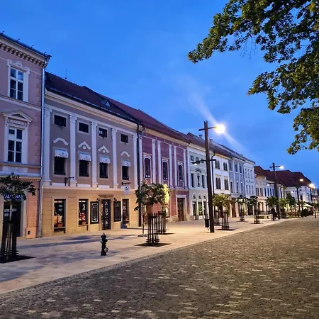 Апартаменты Historical House In The Center With Parking *
