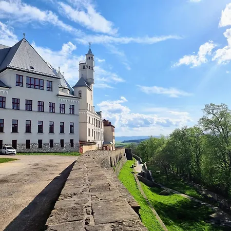 Historical House In The Center With Parking Apartment *