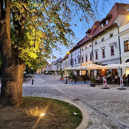 Historical House In The Center With Parking *
