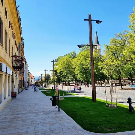 Historical House In The Center With Parking 아파트