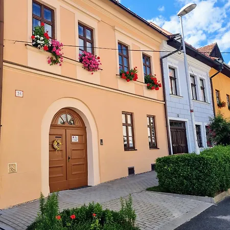 Historical House In The Center With Parking *