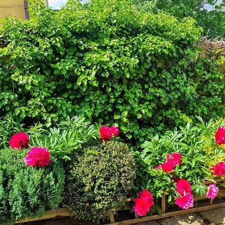 Historical House In The Center With Parking Levoča